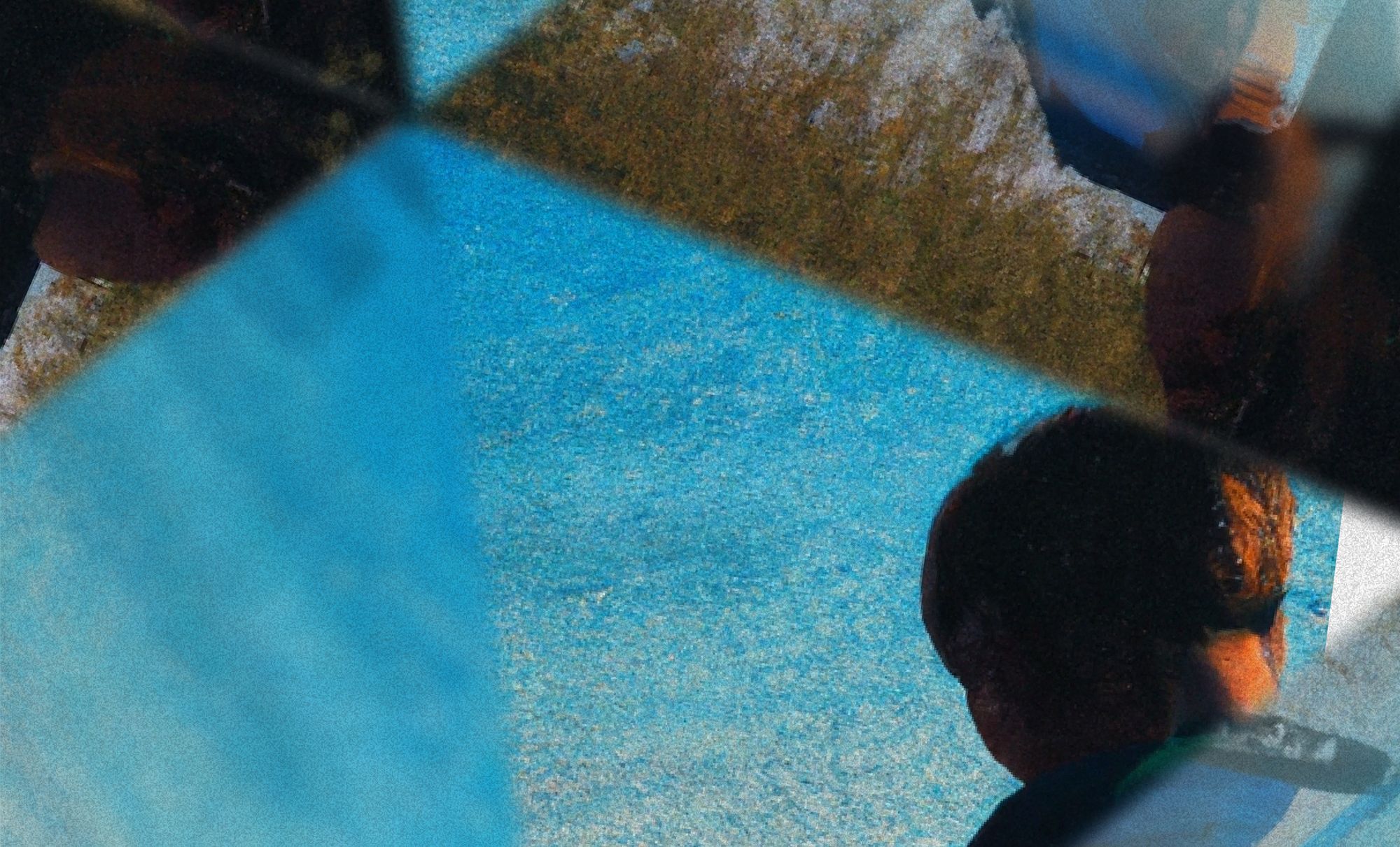 Your brain needs a really good lawyer & It is time to ditch WordPress, finally