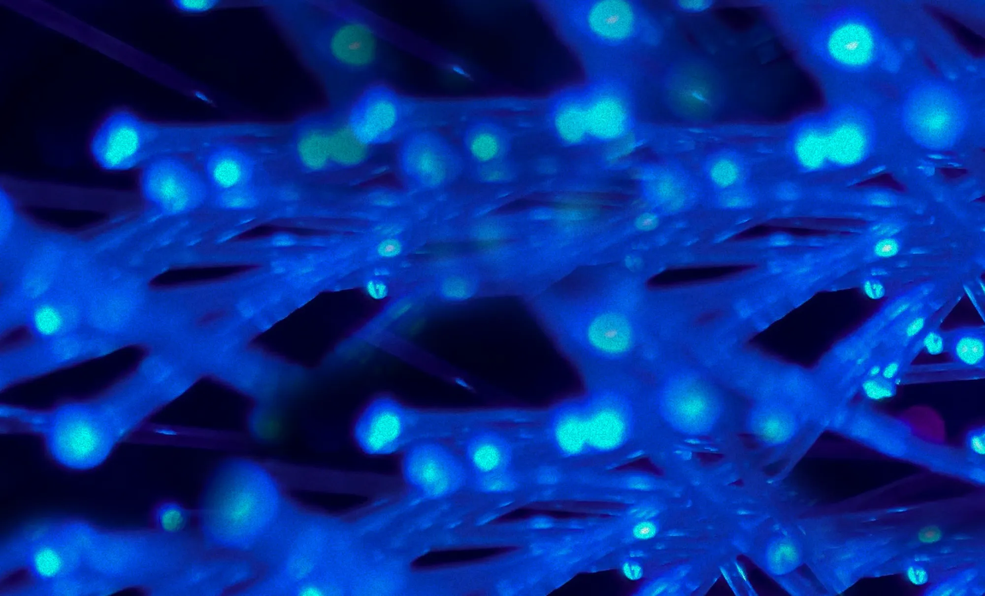 We need to rewild the internet & Muse is now available in Setapp