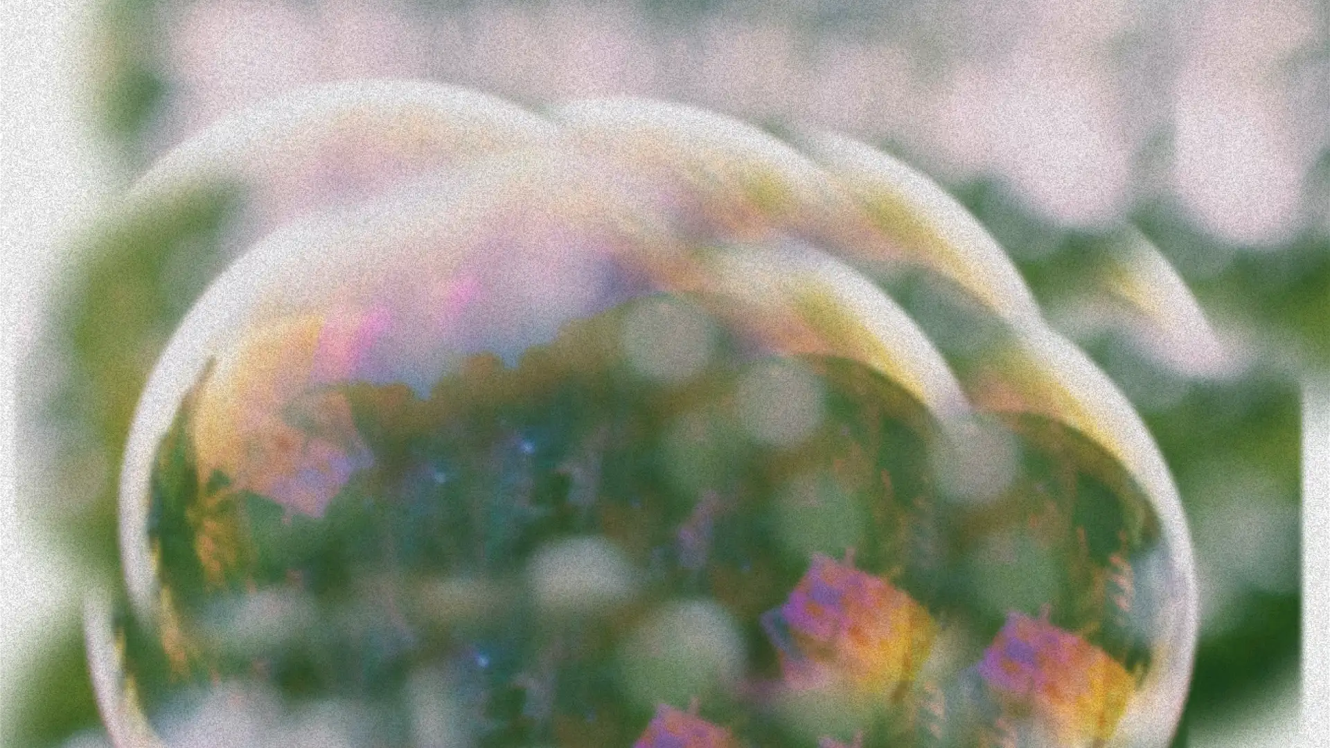 Are We in a Bubble? & Dot by New Computer is shutting down