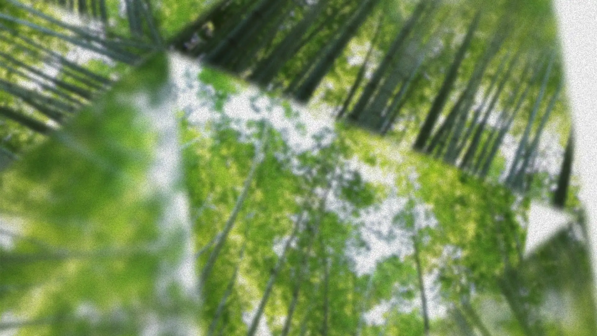 Aliveness (what machines can't make) & Mailbox updates its brand and design