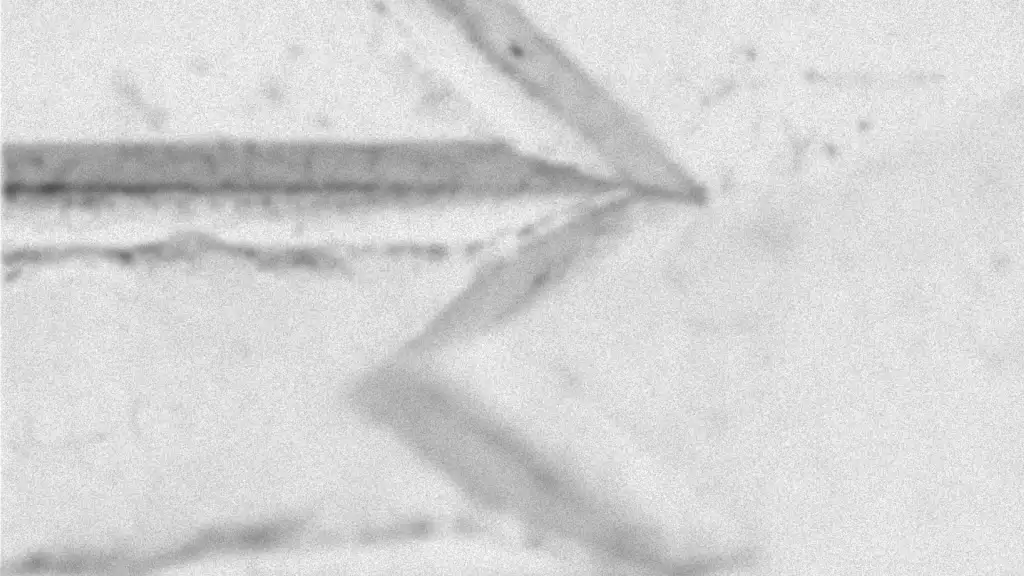 Ideas Arise Through Action & Framer introduces Design Pages