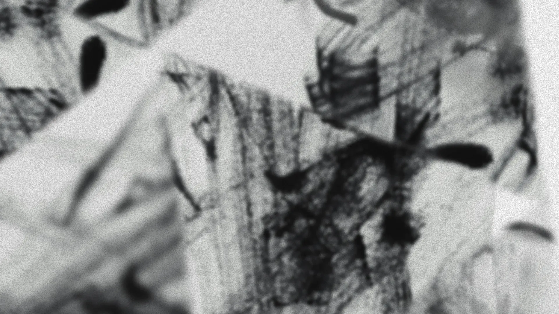 AI & Alignment & TinyStart is a tiny and fast launcher for macOS